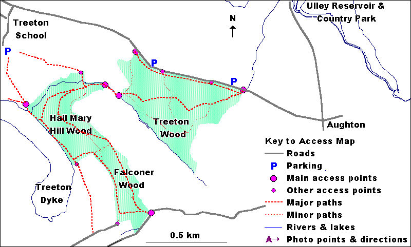 Treeton Wood - access map